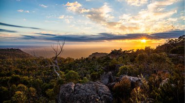 Çalı bitkilerinin büyümesi bulutlu gökyüzünün altında kayalar ve gündoğumu zamanı