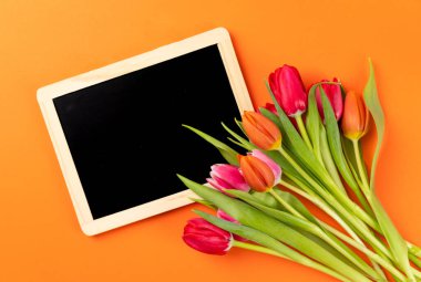 Kopya alanı ve turuncu arkaplanı olan renkli lalelerin yakın çekimi