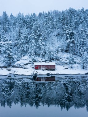 Nehir kenarındaki kış ormanındaki eski kırmızı evin dikey görüntüsü.