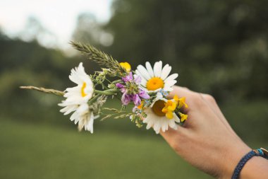 Bir buket papatya tutan el, unutun beni. Noots ve diğer bahar çiçekleri.