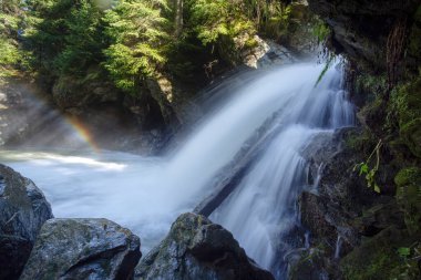 Şelalenin manzarası ve güneş ışığı altında ormanın dalları karşısında gökkuşağı.