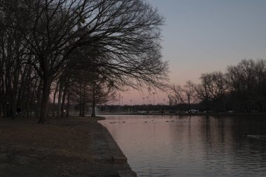 Manzaralı Towne Lake Park, McKinney, Teksas 'ta gün batımında çıplak ağaçlarla kaplıydı.