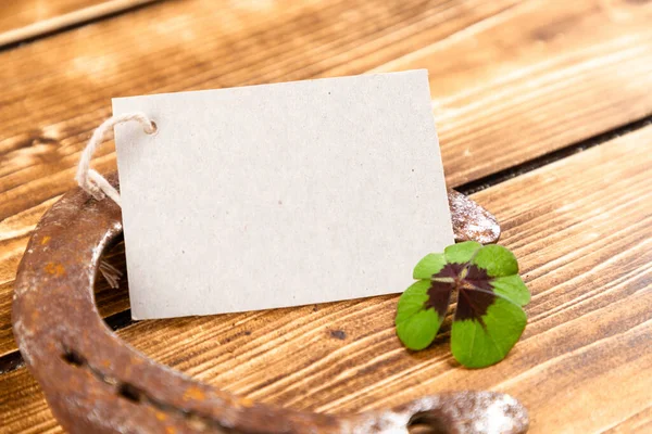 Primo Piano Ferro Cavallo Con Segno Trifoglio Verde Come Portafortuna — Foto Stock