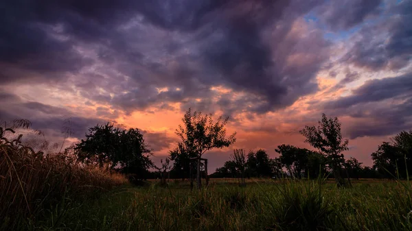 Ein Schöner Blick Auf Ein Feld Mit Sonnenuntergang Hintergrund — Stockfoto