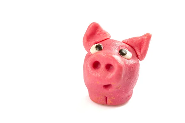 Símbolo Cerdo Afortunado Para Felicidad Aislado Sobre Fondo Blanco Con —  Fotos de Stock