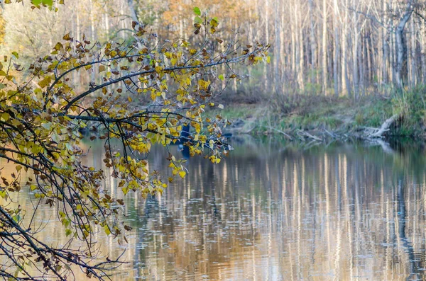 Ein Malerisches Herbstpanorama Auf Dem Künstlichen See Begecka Jama Der — Stockfoto