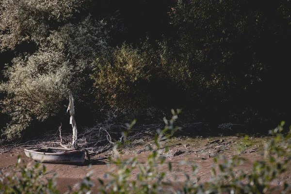 Una Hermosa Toma Barco Abandonado Contra Bosque Oscuro — Foto de Stock