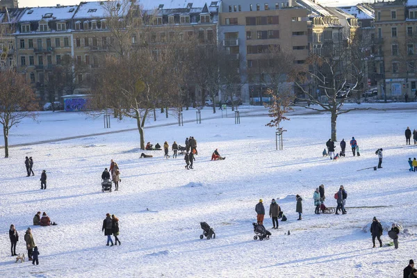 Letecký Snímek Rodin Které Zimě Hrají Sněhem Drážďanském Parku — Stock fotografie