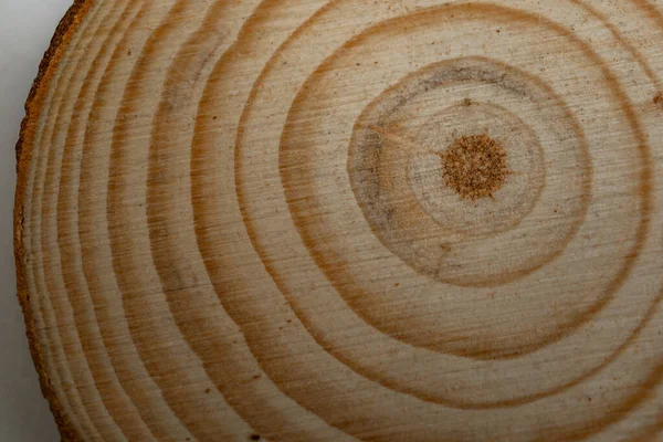 Slice Tree Wood Rings Showing Its Age — Stock Photo, Image