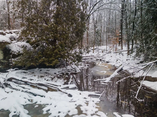 Vacker Utsikt Över Bäck Vintern Hilton Falls Naturskyddsområde Ontario Kanada — Stockfoto