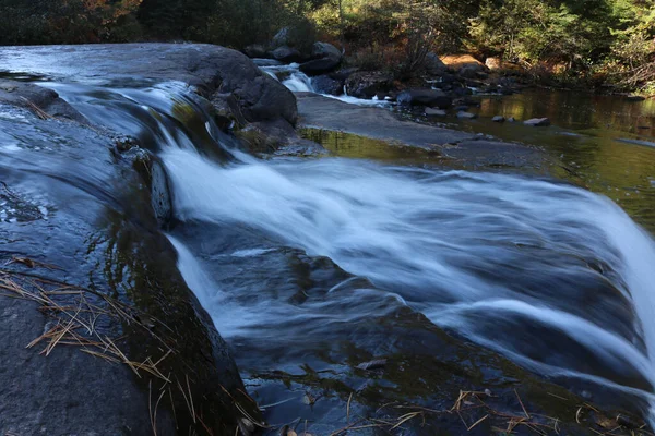 Primo Piano Fiume Che Scorre Una Foresta — Foto Stock