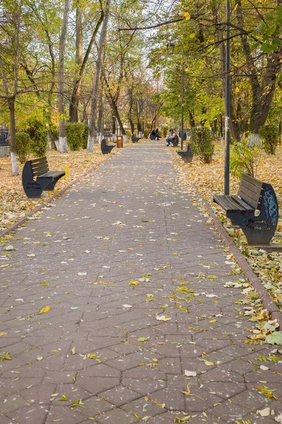 Вертикальный Снимок Городского Парка Осенью — стоковое фото