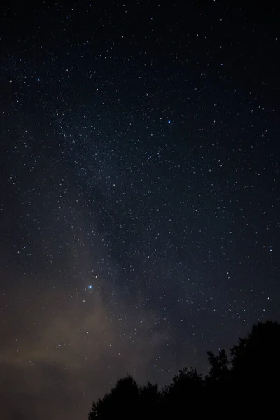 나무로 밤하늘의 — 스톡 사진
