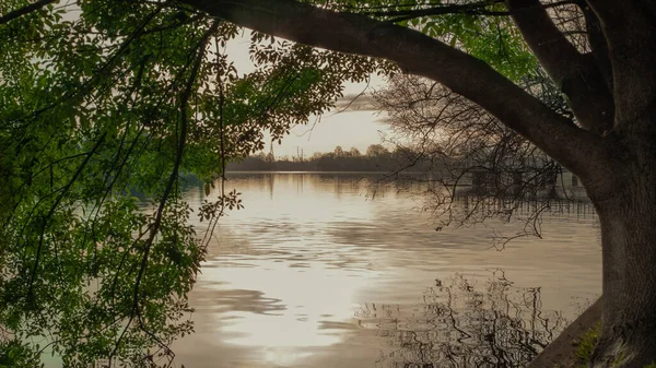 Schöne Aussicht Auf Einen Von Grünflächen Umgebenen See Park — Stockfoto