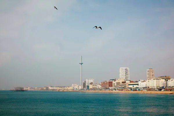 Binalara Karşı Brighton Limanının Manzarası — Stok fotoğraf
