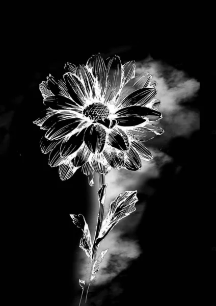 Vertical Shot Rock Flower Art Grayscale Design — Stock Photo, Image