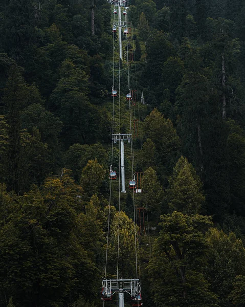 Uma Vista Panorâmica Ropeway Floresta Verde — Fotografia de Stock