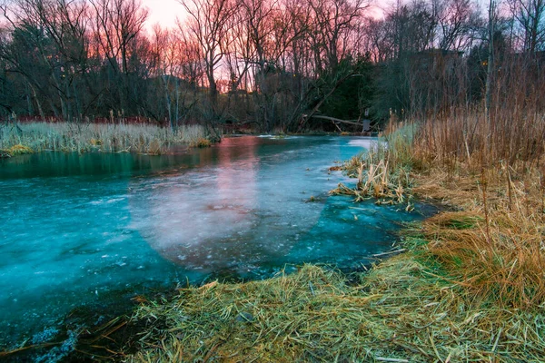 Ein Schöner Frühlingstag Freien Wald Mit Einem Bunten Blauen See — Stockfoto