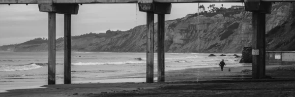 一个人和他的狗在沙滩上灰色的桥墩下散步的风景 — 图库照片