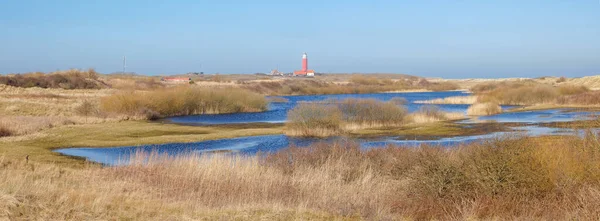 Scenery Lighthouse Texel North Texel Island Netherlands — Stock Photo, Image