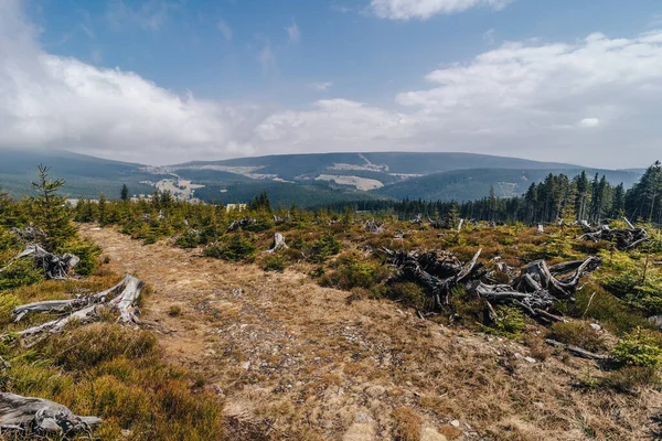Nationalpark Riesengebirge Frühling Riesengebirgslandschaft Böhmen Bergwiesen Gipfel Und Wälder Des — Stockfoto