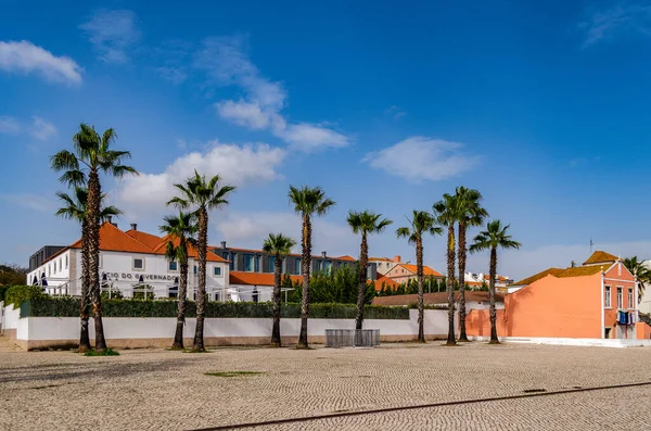 Eine Malerische Aufnahme Von Palmen Und Bunten Häusern Belem Lissabon — Stockfoto