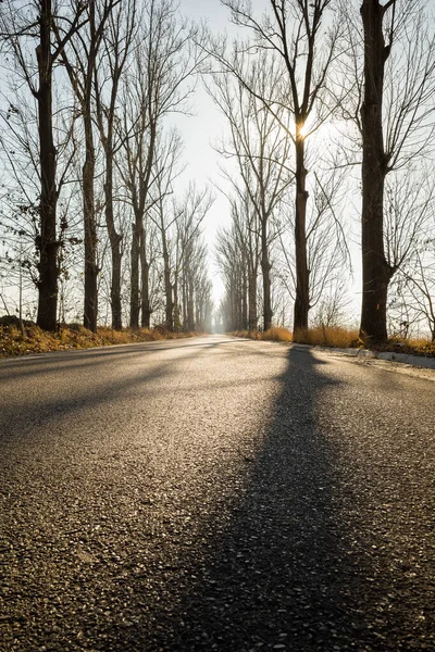 Eine Vertikale Aufnahme Einer Herbstlichen Straße — Stockfoto