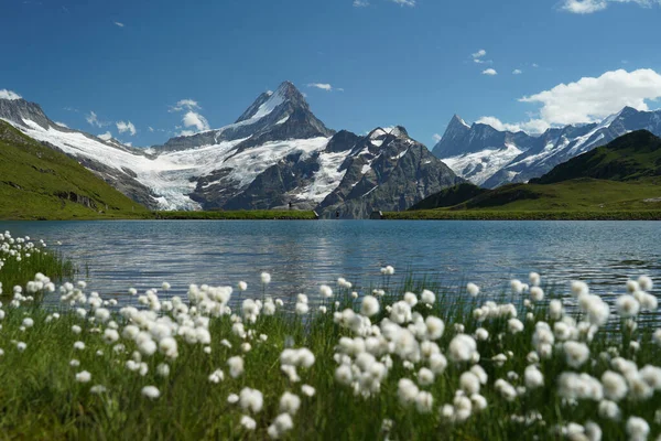 Malebný Pohled Jezero Horami Pozadí Švýcarsku — Stock fotografie
