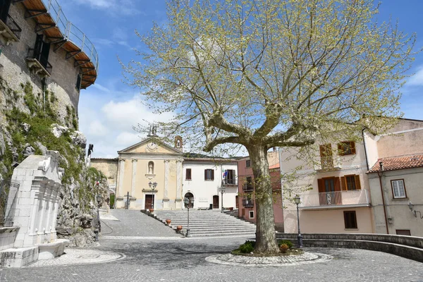 Beau Plan Bâtiments Arbre Dans Ville Macchiagodena Italie Avec Arbre — Photo