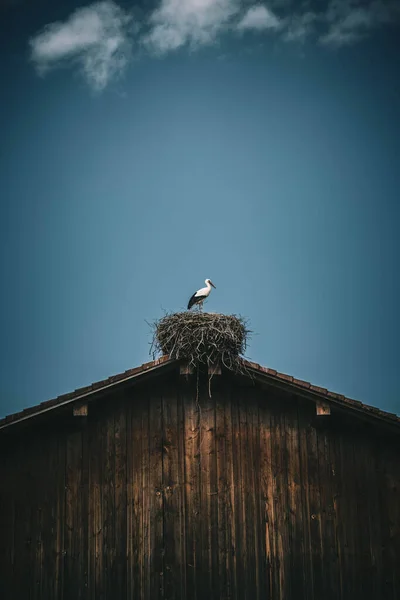 青い空の背景の家の屋根の上に巣に立っているコウノトリの垂直方向 — ストック写真