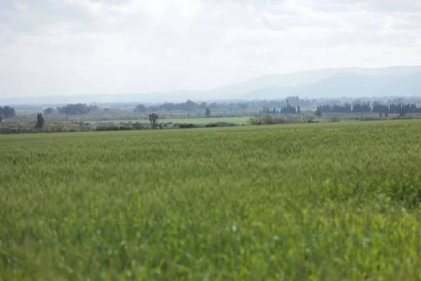 Splendida Vista Sul Campo Verde Paesaggio Campagna — Foto Stock