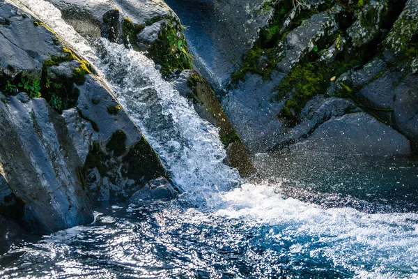 Natural View Dawson Falls Egmont National Park New Zealand — Stock Photo, Image