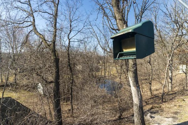 Selective Focus Shot Mailbox Attached Dead Tree Other Dead Trees — Stock Photo, Image