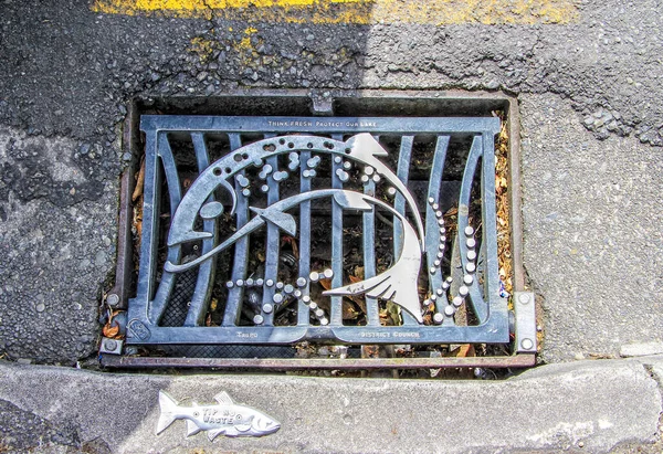 Eine Draufsicht Auf Die Straßenabflussabdeckung Mit Forellenfischschild Taupo — Stockfoto