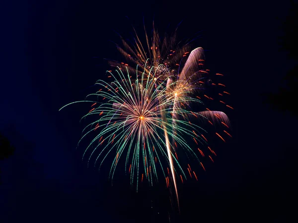 Bright Colorful Splashes Firework Dark Sky National Holiday — Stockfoto