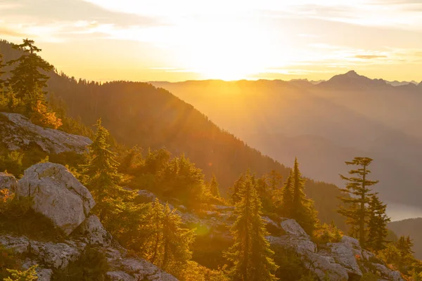 Ein Schöner Sonnenaufgang Über Dem Felsigen Berg Mit Kiefern — Stockfoto