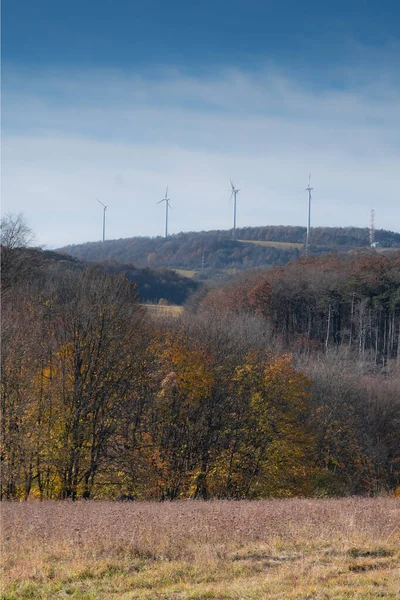 Eine Baumgruppe Auf Einem Hügel Und Elektrische Ventilatoren Hintergrund — Stockfoto
