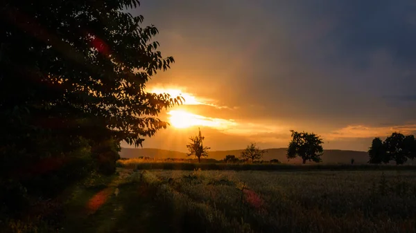 Vacker Utsikt Över Den Ljusa Solnedgången Över Ett Fält Landsbygden — Stockfoto