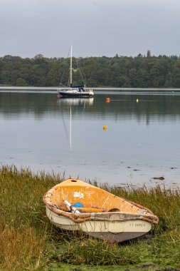 Gölün yakınındaki çimlerin üzerinde bir teknenin dikey görüntüsü.