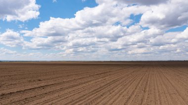 Arazinin üstündeki mavi gökyüzünün güzel bulutları.