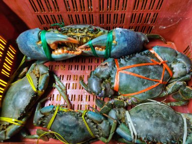 Kırmızı sepetteki bağlı yengeçlerin üst görüntüsü.