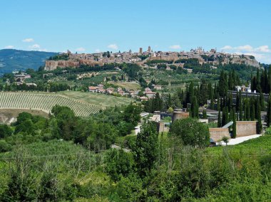 Yeşil ağaçları ve İtalya 'daki tepedeki binaları olan antik bir Umbria şehri.