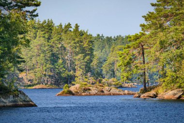 Yeşil bir ormanla çevrili sakin bir gölün manzaralı bir görüntüsü.