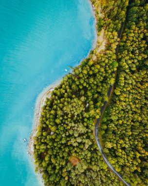 Turkuaz mavi bir denizle yeşil ormandan geçen yolu dikey bir drone görüntüsü.