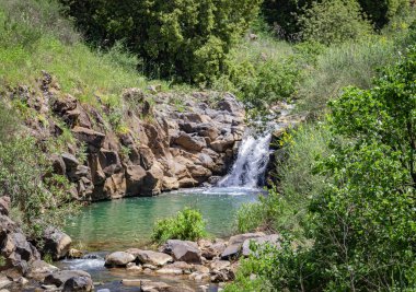 İsrail 'in Golan Tepeleri' ndeki bir ormanda bir şelalenin güzel bir görüntüsü.