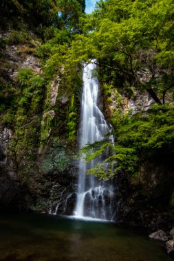 Yosun ve kayalık dağlardan akan güzel şelalenin dikey görüntüsü.