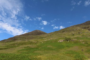 Mavi parlak gökyüzünün altındaki tepenin arka planında yeşillik manzarası