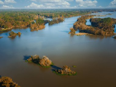 Houston Gölü 'nün ormanın önündeki panoramik manzarası