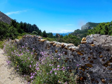 Eski taş duvarın yanında güzel bir çiçek açtı. Oradan dağların ve ormanların güzel manzarasının tadını çıkarabilirsiniz.