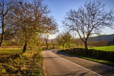 Romanya 'da sonbahar aylarında Karpat Dağları' nın bulunduğu tarlalardan geçen bir yol